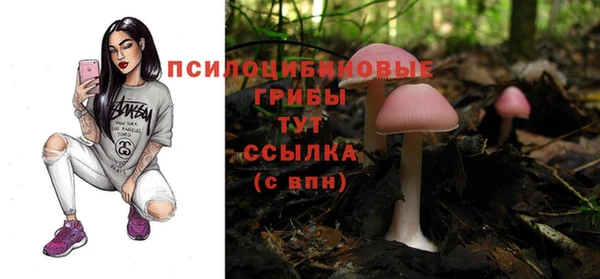 спайс Осинники