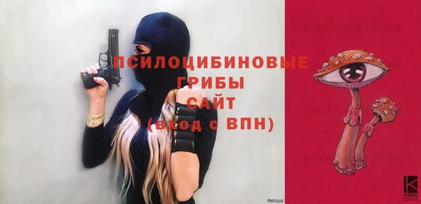 спайс Осинники