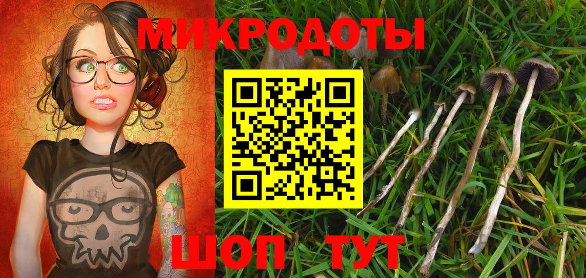 Псилоцибиновые грибы Cubensis  купить  сайты  Янаул  Вход с VPN 